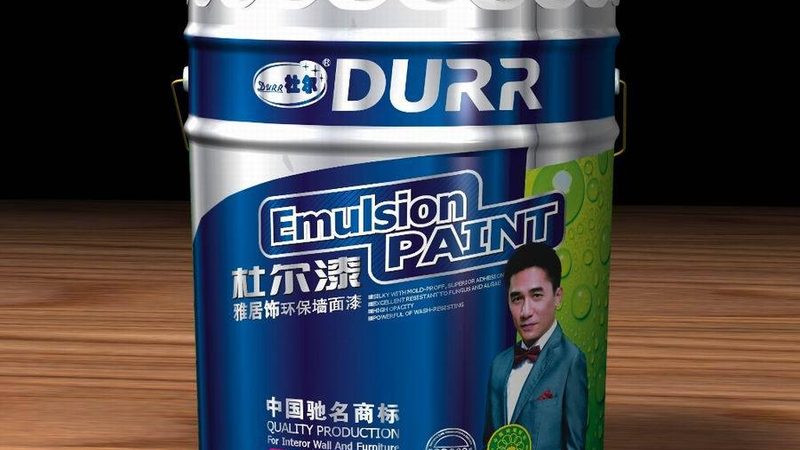 硅藻泥与乳胶漆：施工差异与选择要点